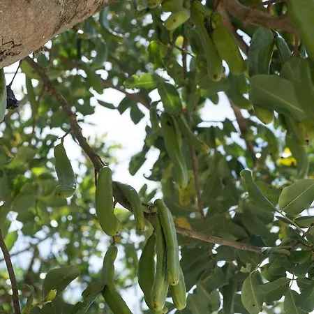 مزرعة للإقامة Lu Panaru *